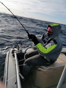 IMG_20200304_120259.jpg IMG_20200304_120259.jpg