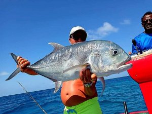 WhatsApp Image 2020-03-03 at 19.55.42.jpeg