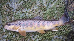 20200308_161532.jpg 20200308_161532.jpg