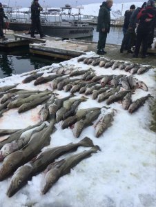 IMG-20200315-WA0044.jpg IMG-20200315-WA0044.jpg