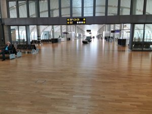 IMG_20200318_081749.jpg IMG_20200318_081749.jpg