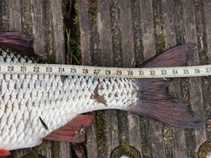 IMG-20200320-WA0003.jpg IMG-20200320-WA0003.jpg