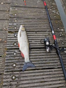 IMG-20200320-WA0002.jpg IMG-20200320-WA0002.jpg