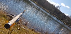 20200321_121228.jpg 20200321_121228.jpg