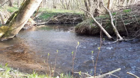 20200409_183611.webp 20200409_183611.webp