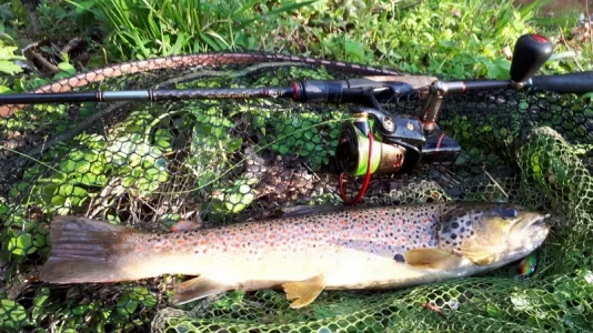 20200409_183249.webp 20200409_183249.webp