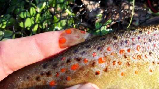 20200409_183308.webp 20200409_183308.webp