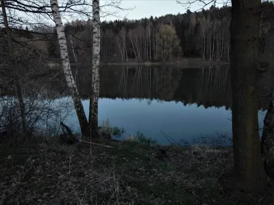 DSCN5605-2.webp DSCN5605-2.webp