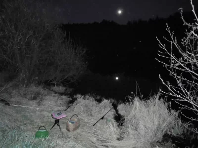 DSCN5617-2.webp DSCN5617-2.webp