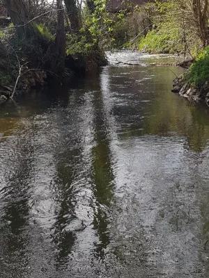 20200410_155918.webp 20200410_155918.webp