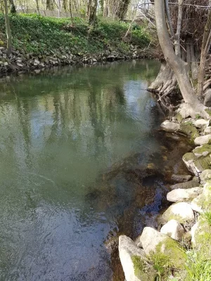 20200410_155927.webp 20200410_155927.webp