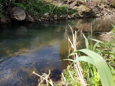 20200410_161543.webp 20200410_161543.webp