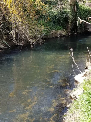 20200410_161450.webp 20200410_161450.webp