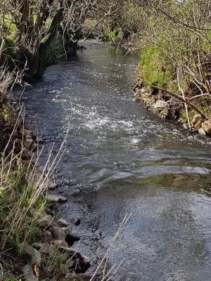 20200410_163723.webp 20200410_163723.webp