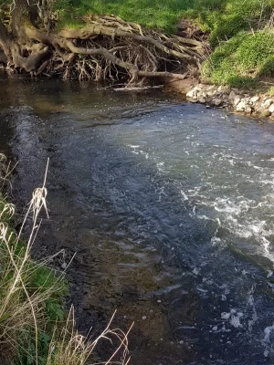 20200410_165808.webp 20200410_165808.webp