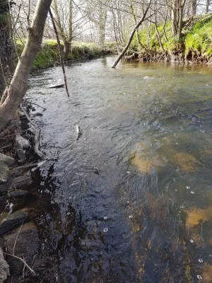 20200410_164337.webp 20200410_164337.webp