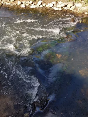 20200410_165758.webp 20200410_165758.webp