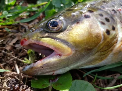 20200410_155848.webp 20200410_155848.webp