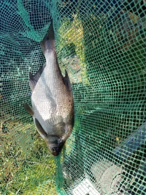 20200410_150112.jpg 20200410_150112.jpg