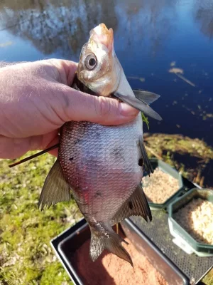 20200410_161044.jpg 20200410_161044.jpg