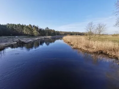 IMG-20200411-WA0000.webp IMG-20200411-WA0000.webp