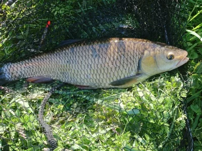 DSC_0865.webp DSC_0865.webp