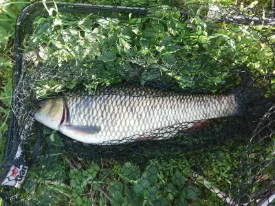 _20200411_190040.webp _20200411_190040.webp