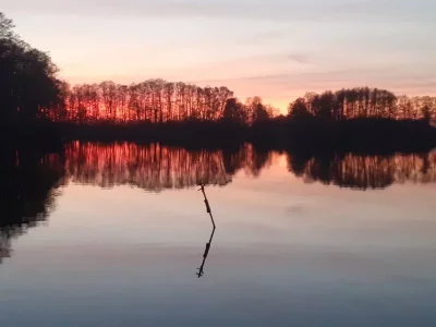 20200411_202833.webp 20200411_202833.webp