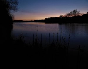 DSCN5633 (2).JPG