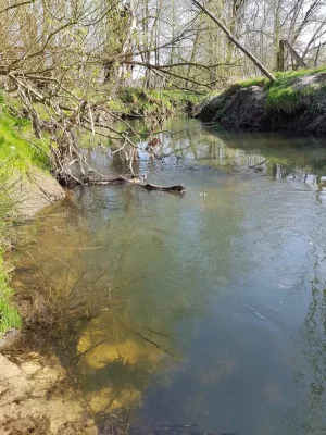 20200412_155913.webp 20200412_155913.webp