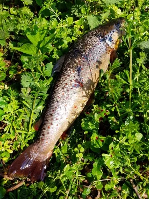 20200412_182628.webp 20200412_182628.webp