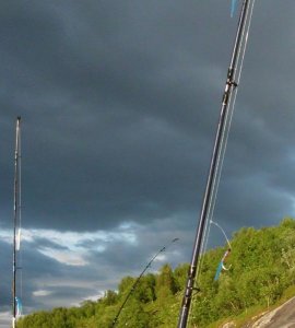 Fliege.jpg Fliege.jpg