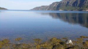 12 Ausblick aus Brandsfjord raus.jpg