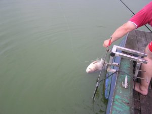 bodden august 314.jpg