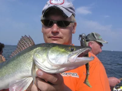 bodden august 195.webp