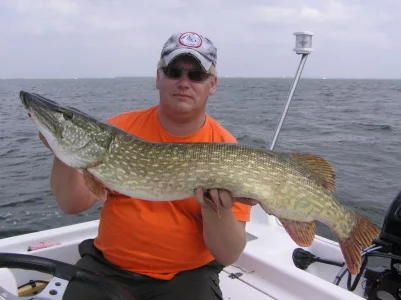bodden august 190.webp