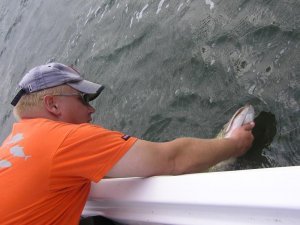 bodden august 192.jpg