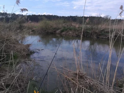 IMG_20200412_155443.webp IMG_20200412_155443.webp