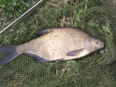 IMG_20200412_162245.webp IMG_20200412_162245.webp