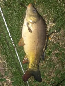 IMG_20200412_203211.jpg IMG_20200412_203211.jpg
