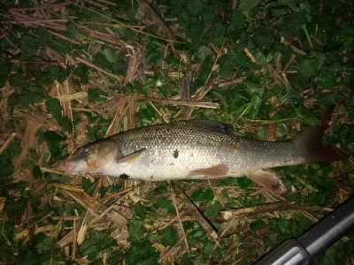 IMG_20200412_215433.webp IMG_20200412_215433.webp