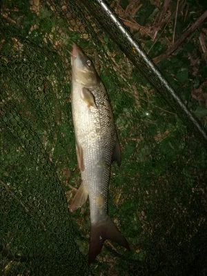 IMG_20200412_213928.webp IMG_20200412_213928.webp