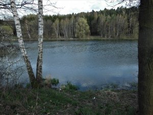 DSCN5642 (2).JPG