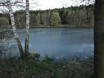 DSCN5642 (2).webp DSCN5642 (2).webp