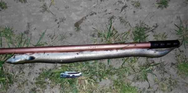 DSCN5652 (2).JPG DSCN5652 (2).JPG