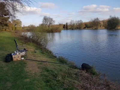 20200413_185608.webp 20200413_185608.webp