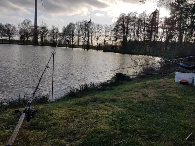 20200413_185707.webp 20200413_185707.webp