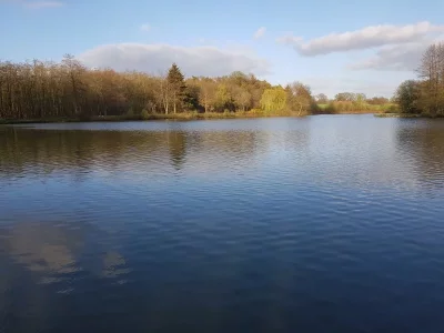 20200413_190901.webp 20200413_190901.webp