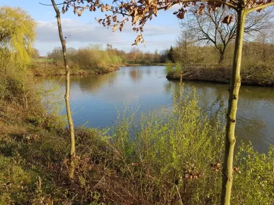 20200413_191155.webp 20200413_191155.webp