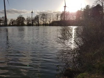 20200413_191358.webp 20200413_191358.webp